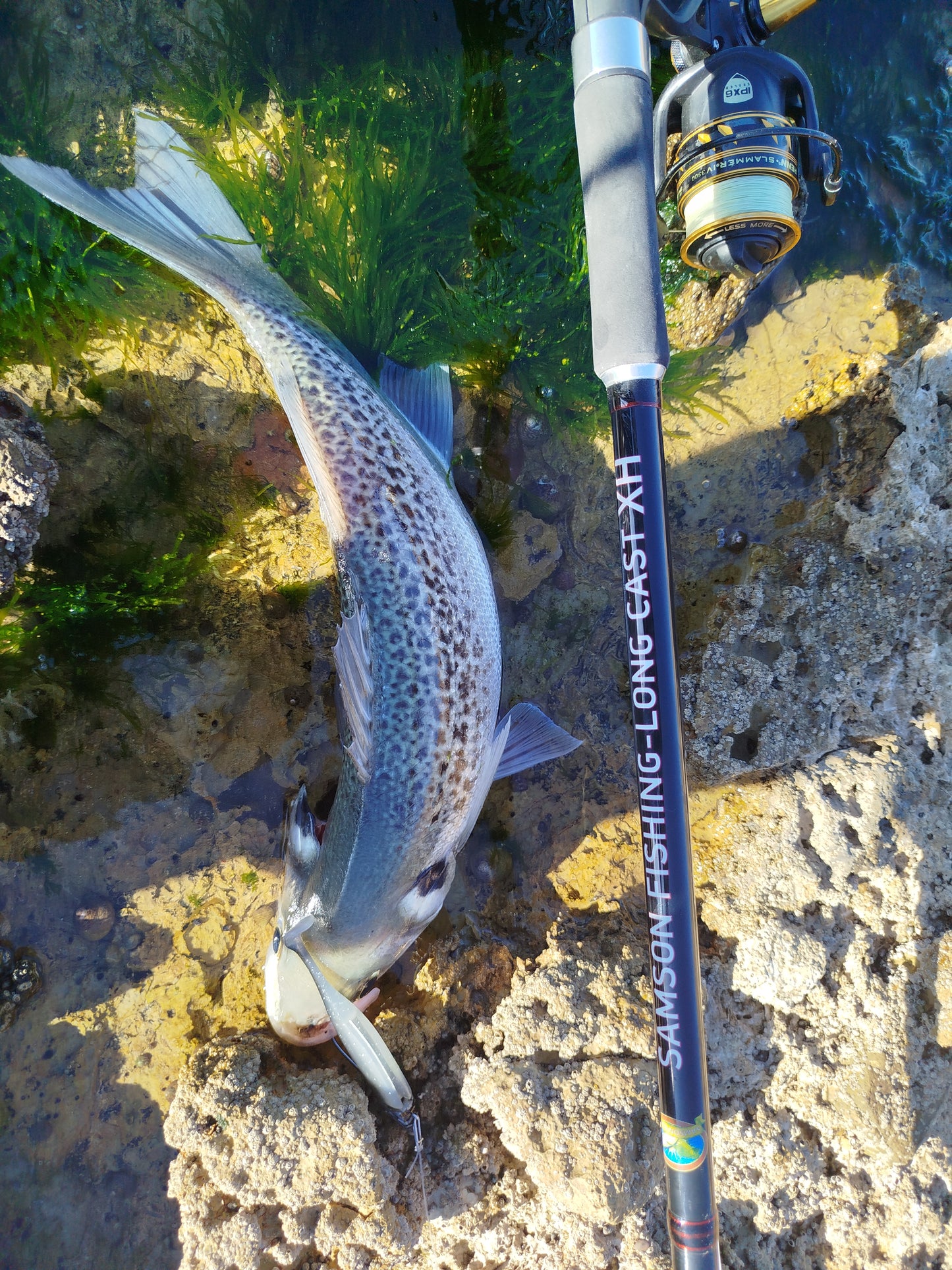 Waylander - Mean Minnow x3 Plastica morbida con Jighead (senza piombo)